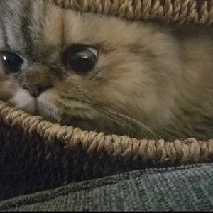 Meet your Posher, Sean